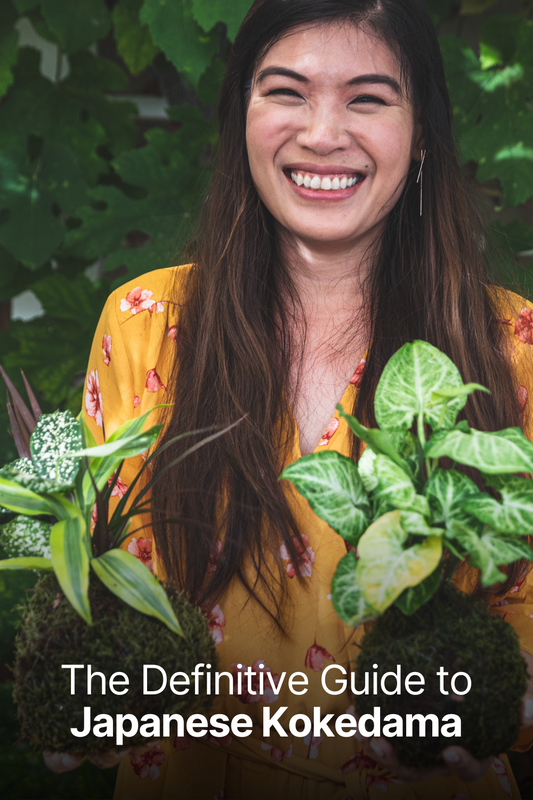 The Definitive Guide to Japanese Kokedama