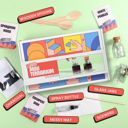 DIY Mini Terrarium Kit
