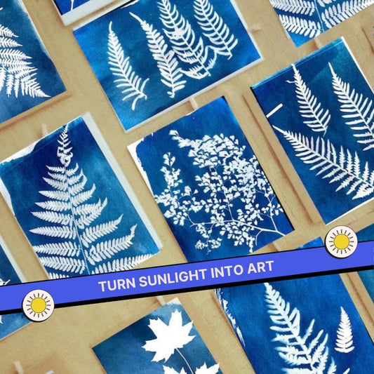 DIY Solar Printing Kit