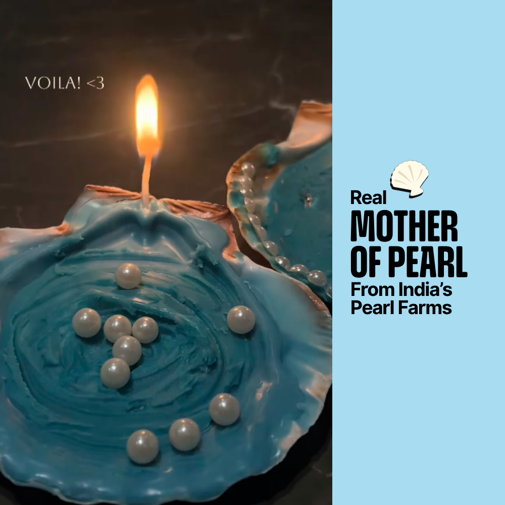 DIY Shell Candle Kit