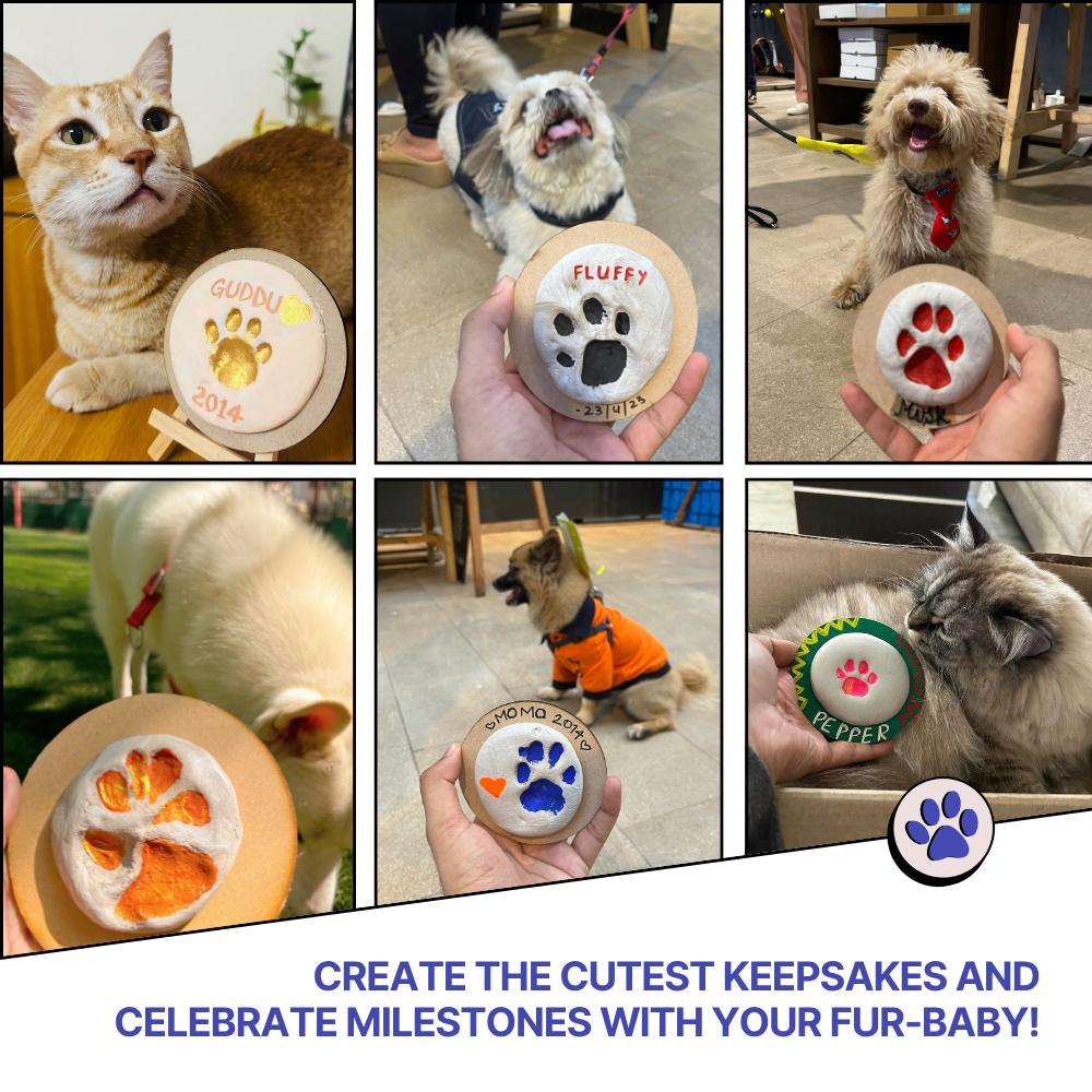 DIY Paw Printing Kit