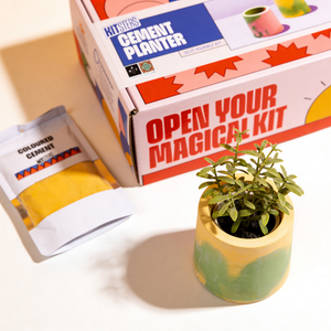 DIY Cement Planter Kit