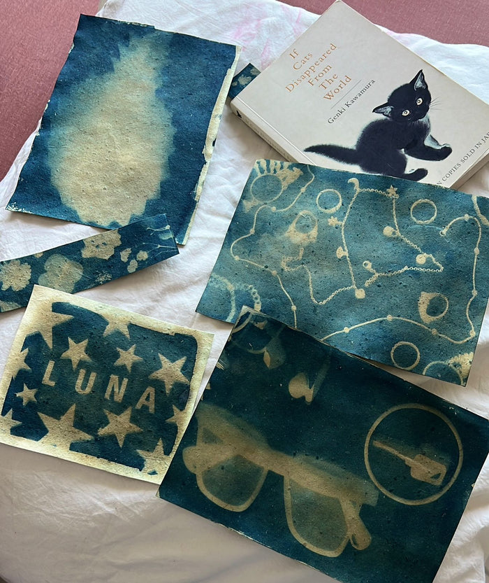 DIY Solar Printing Kit — made by a Kitsters maker