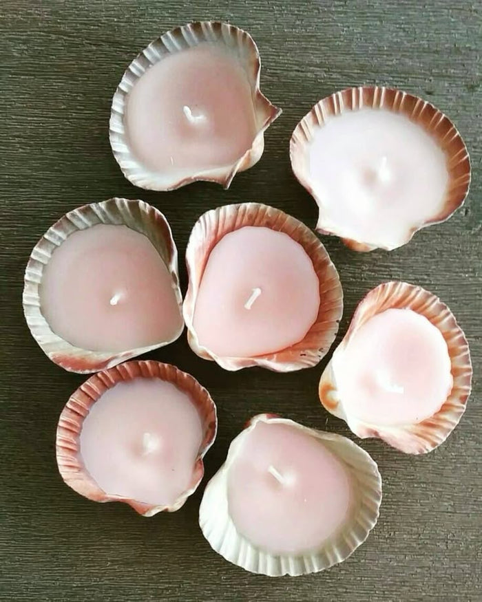 DIY Shell Candle Kit — made by a Kitsters maker