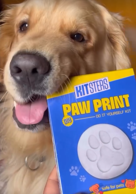 DIY Paw Printing Kit — made by a Kitsters maker