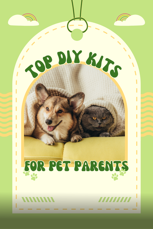 Top DIY Kits for Pet Parents