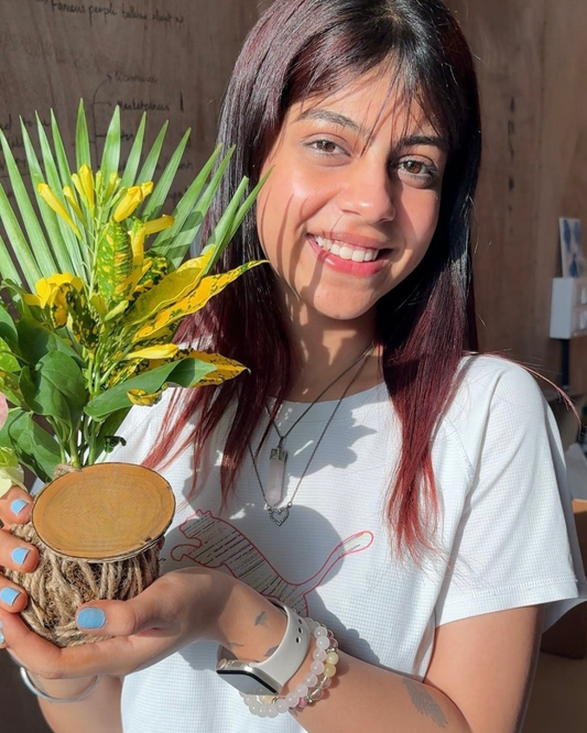 3 Perfect DIY Kits Every Plant Parent and Garden Lover Needs (Green Therapy at Its Finest!)