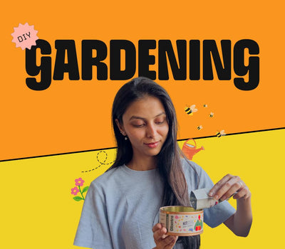 DIY Gardening Kits - DIY kits from Kitsters