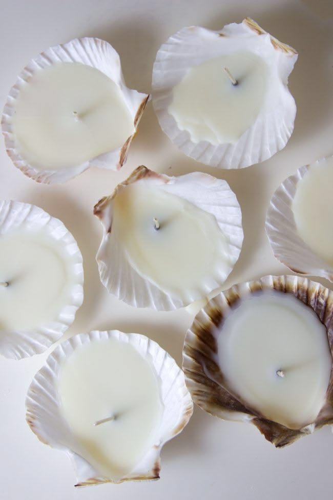 DIY Shell Candle Kit — made by a Kitsters maker