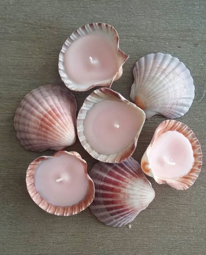 DIY Shell Candle Kit — made by a Kitsters maker