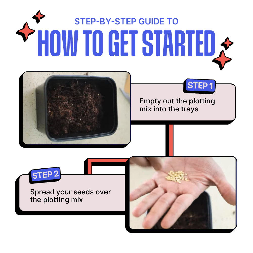 DIY Microgreens Kit