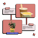 DIY Cement Planter Kit