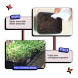 DIY Microgreens Kit