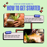 DIY Japanese Kokedama Kit