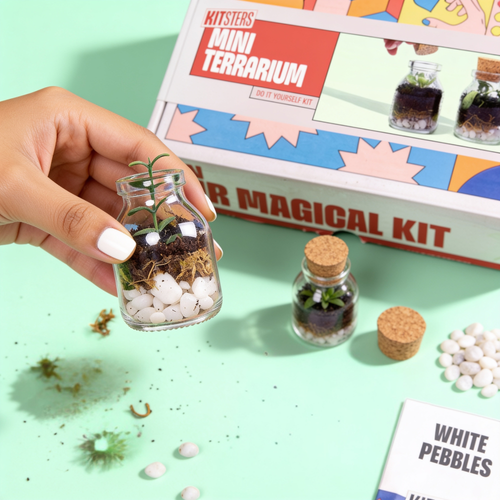 DIY Mini Terrarium Kit