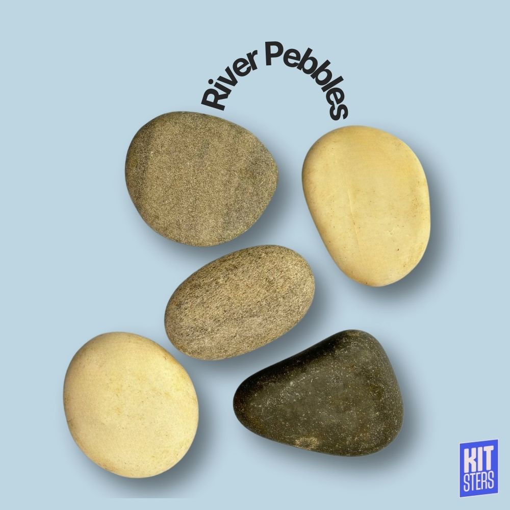 River Pebbles (Pack of 5)