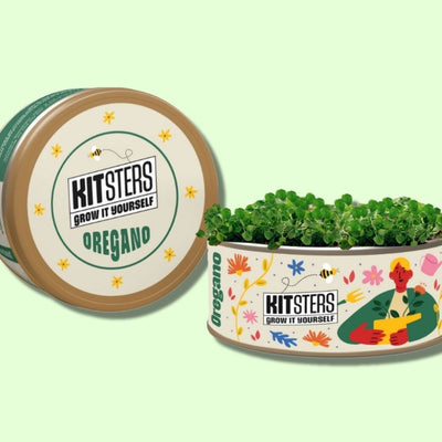 Grow in a Can - Oregano