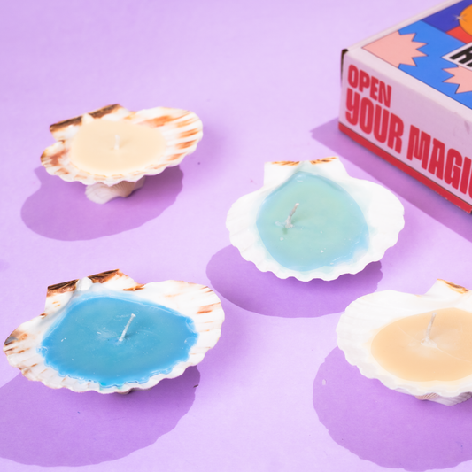 DIY Shell Candle Kit