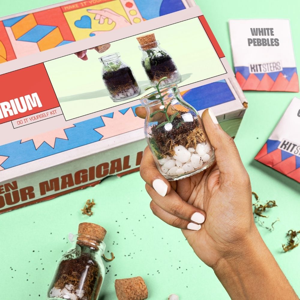 DIY Mini Terrarium Kit