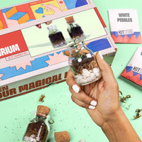 DIY Mini Terrarium Kit