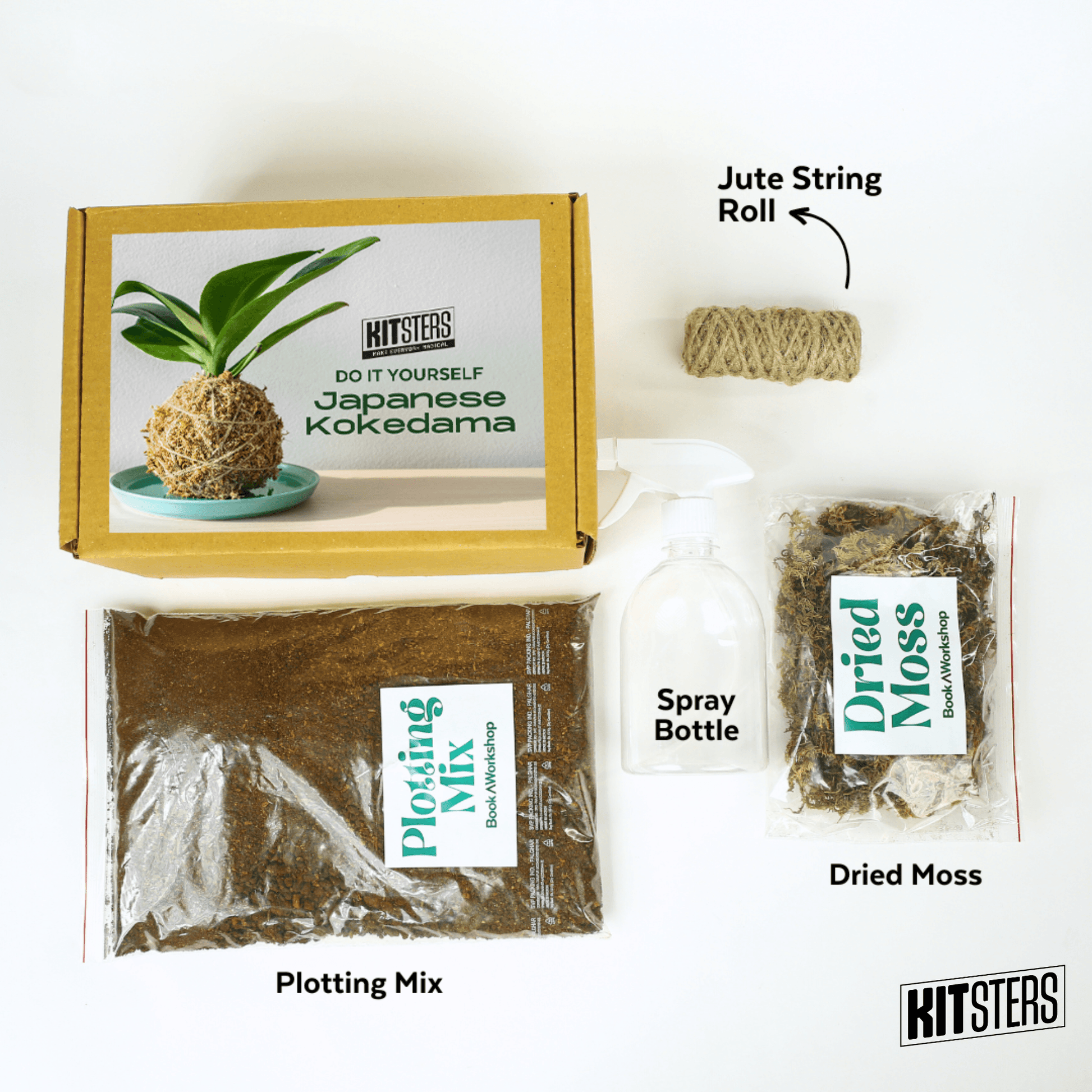 DIY Japanese Kokedama Kit