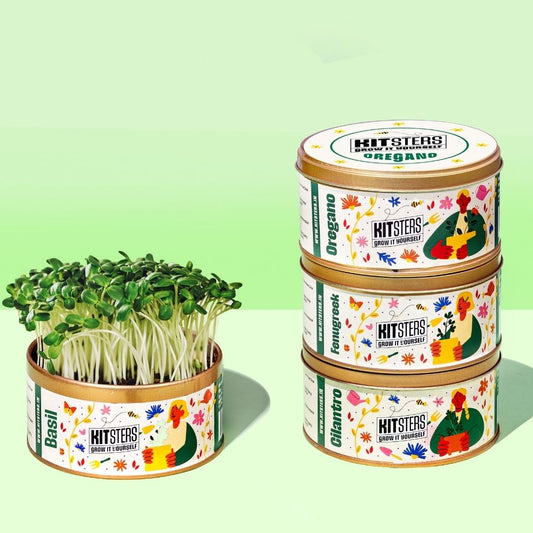 Grow in a Can - Pack of 4 (Basil, Cilantro, Fenugreek, Oregano)