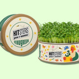 Grow in a Can - Fenugreek
