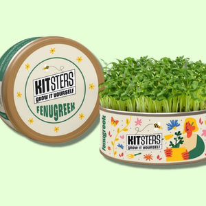 Grow in a Can - Fenugreek