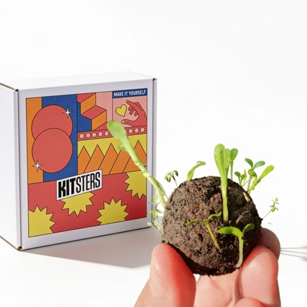 DIY Magic Seed Bomb Kit