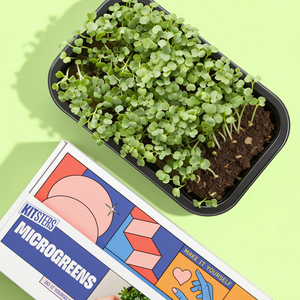 DIY Microgreens Kit