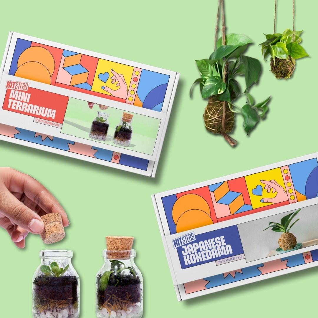 COMBO : DIY Mini Terrarium Kit & DIY Japanese Kokedama Kit