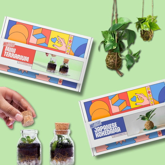 COMBO : DIY Mini Terrarium Kit & DIY Japanese Kokedama Kit