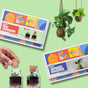 COMBO : DIY Mini Terrarium Kit & DIY Japanese Kokedama Kit