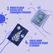 Solar printing step by step tutorial, Create cyanotype solar prints. DIY solar printing kit, diy cyanotype kit, beginner diy kit, diy kits for adults, stem kits, STEAM diy kits, chemistry kit