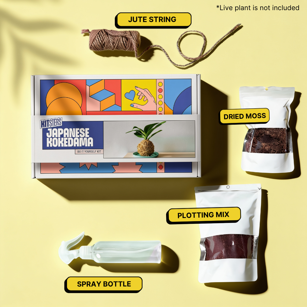 DIY Japanese Kokedama Kit