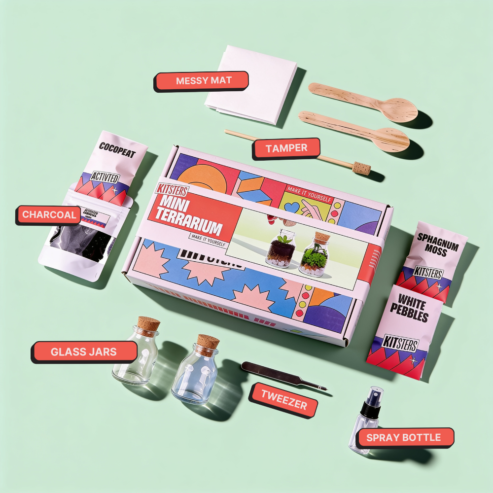 DIY Mini Terrarium Kit