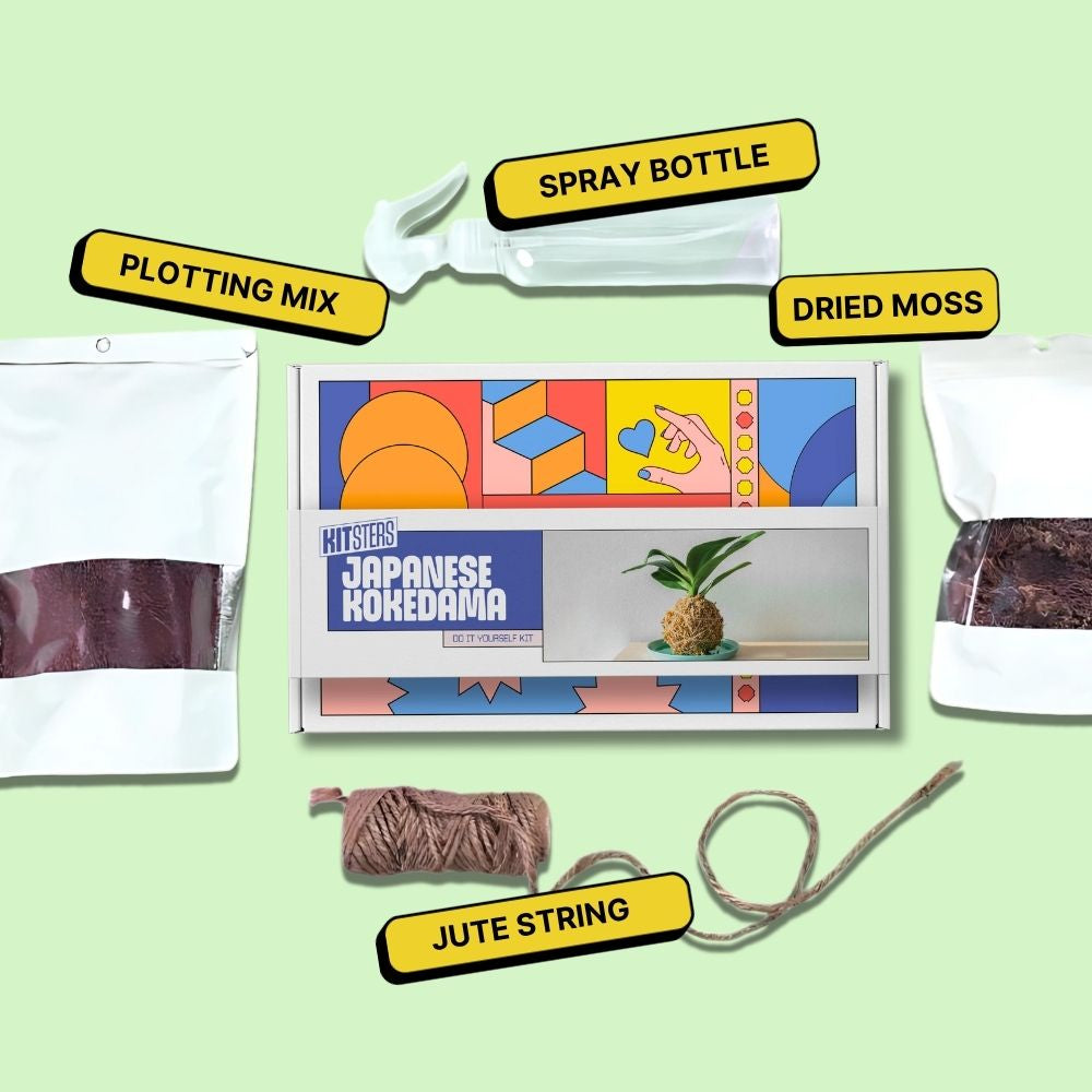 DIY Japanese Kokedama Kit