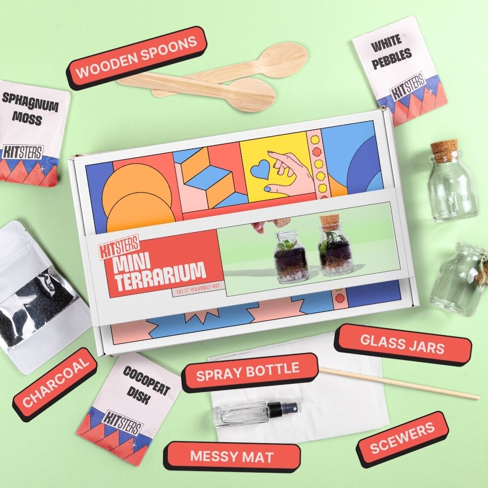 DIY Mini Terrarium Kit
