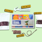 DIY Japanese Kokedama Kit