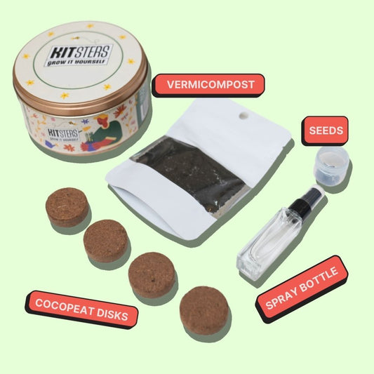 Grow in a Can - Cilantro