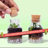 DIY Mini Terrarium Kit