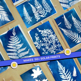 COMBO : DIY Gel Plate Monoprinting & DIY Solar Printing Kit