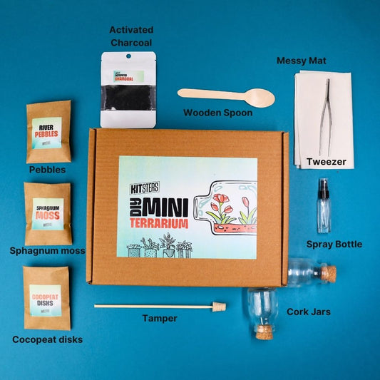 DIY Mini Terrarium Kit