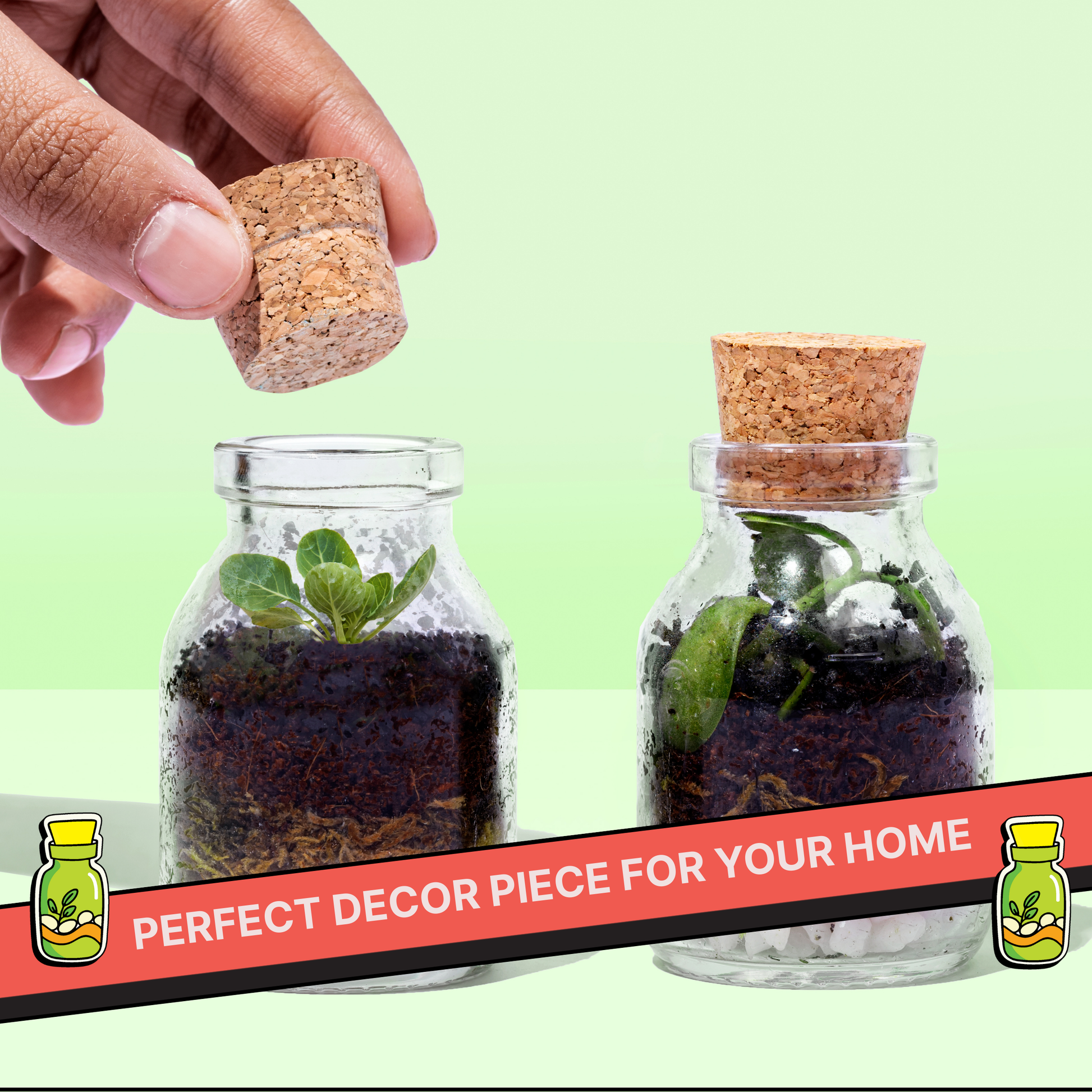 DIY Mini Terrarium Kit