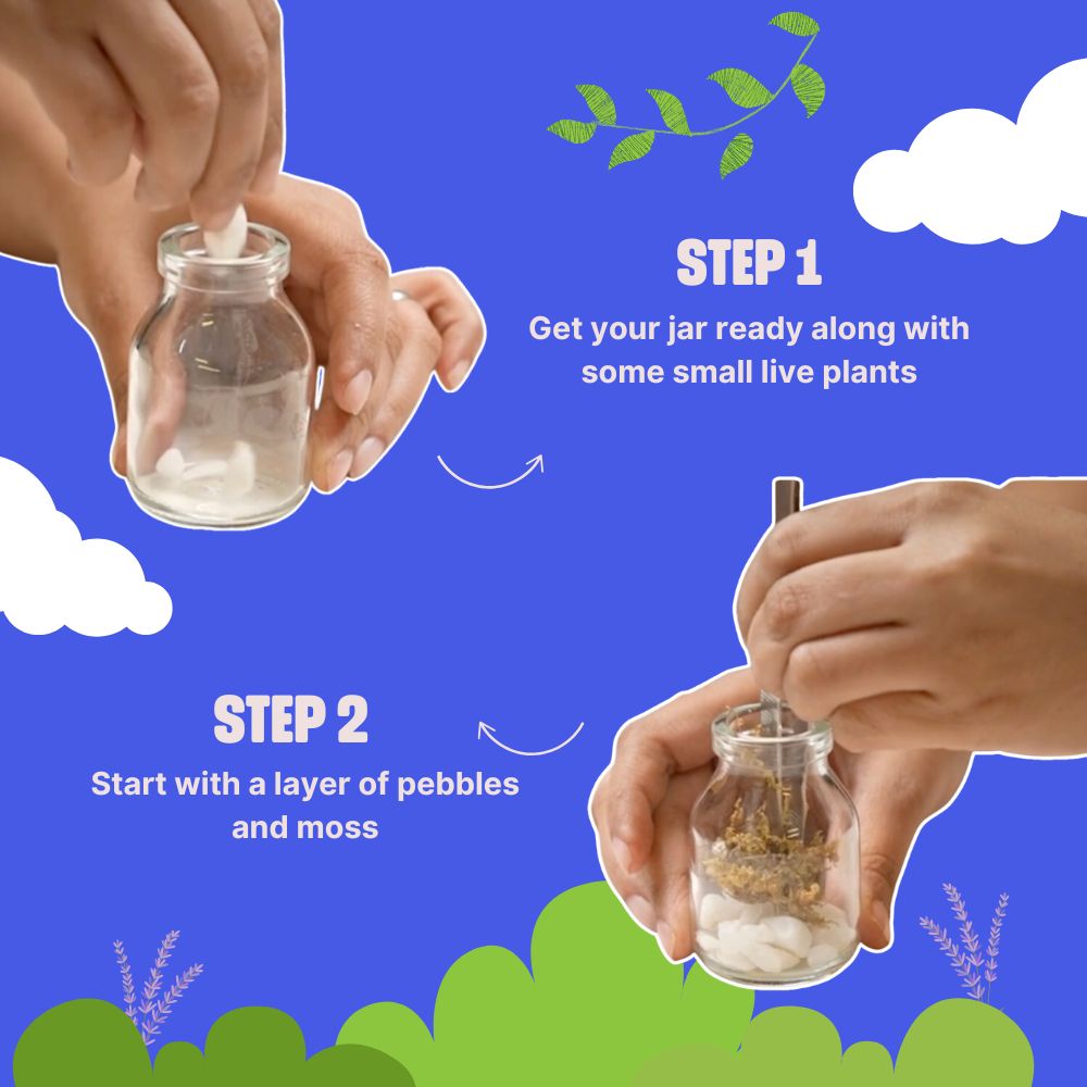 DIY Mini Terrarium Kit