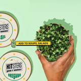 Grow in a Can - Oregano