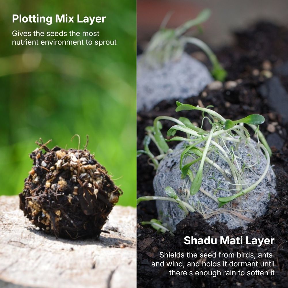 DIY Magic Seed Bomb Kit