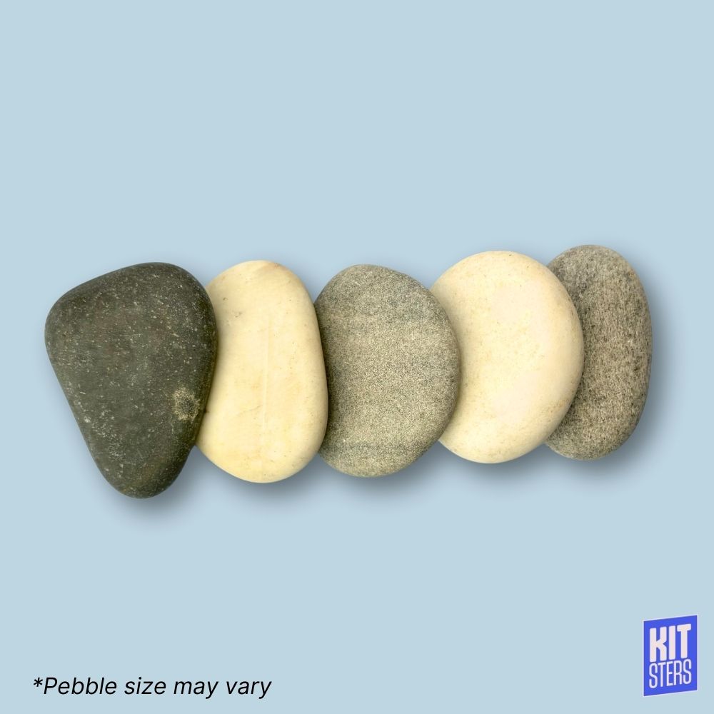 River Pebbles (Pack of 5)