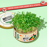 Grow in a Can - Pack of 4 (Basil, Cilantro, Fenugreek, Oregano)