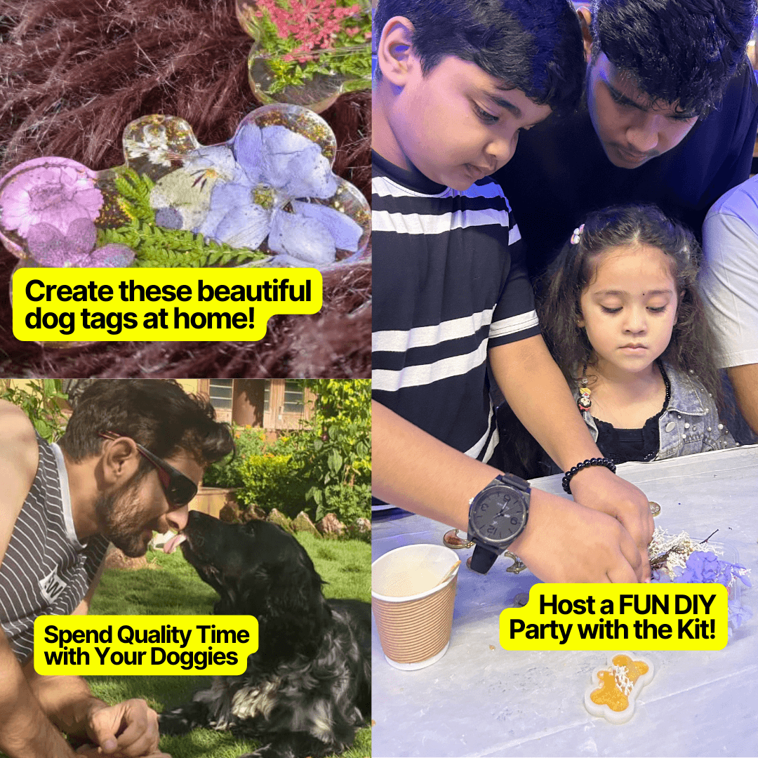 Beautiful 2024 dog tags